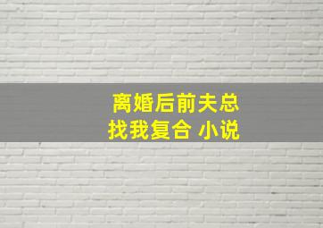 离婚后前夫总找我复合 小说